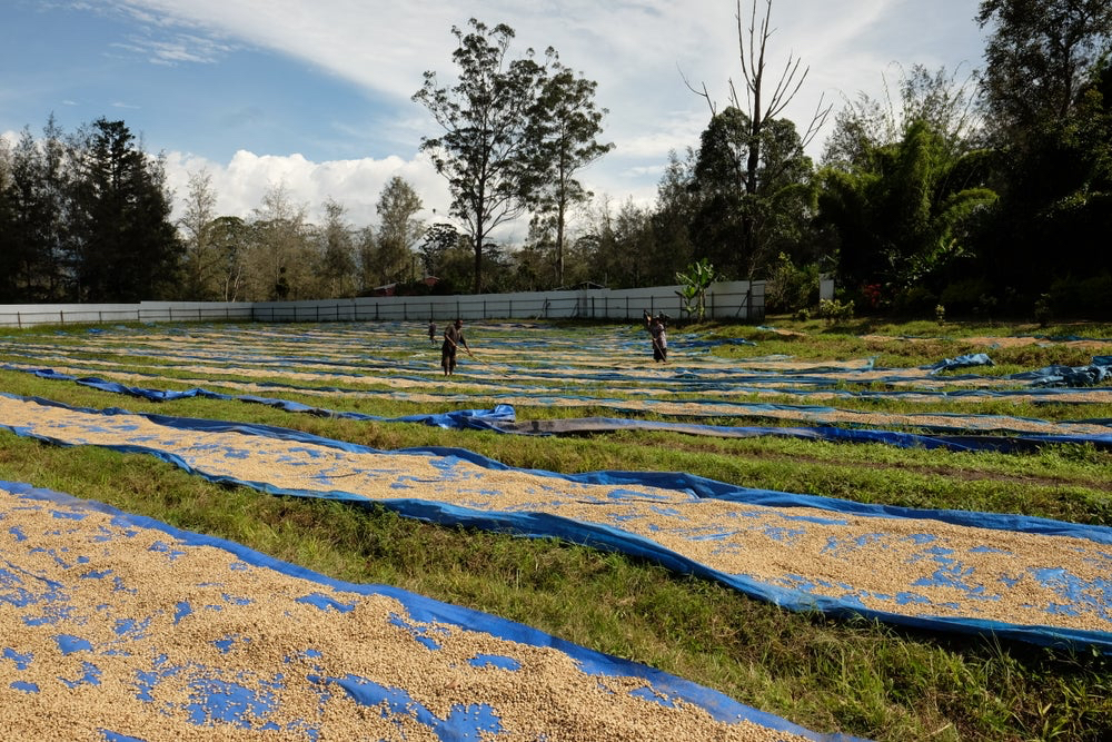 Papua Nová Guinea – Baroida – na espresso | Lázeňská káva
